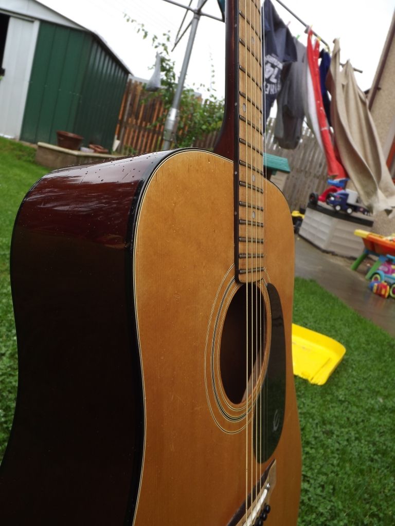 EPIPHONE FT-120 - Epiphone Acoustics - Gibson Brands Forums